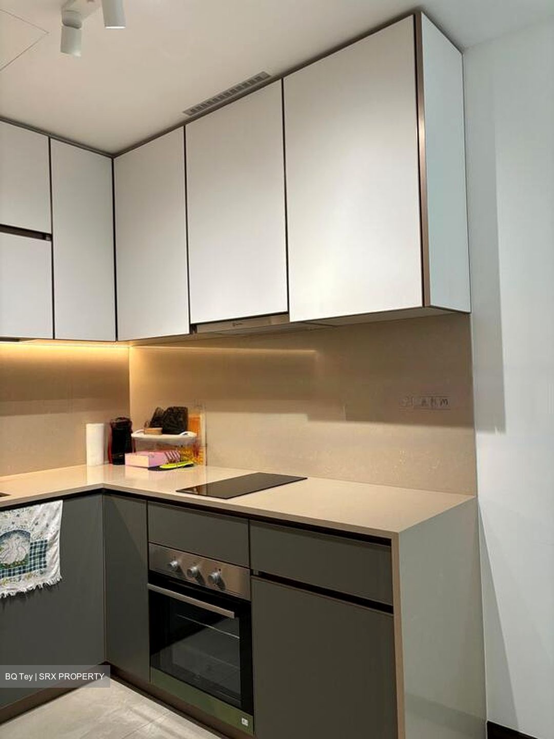Normanton Park (D5), Apartment #450052521